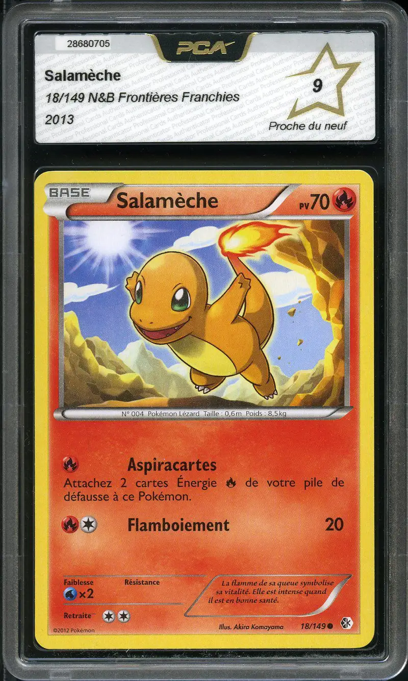 PCA 9 Salamèche