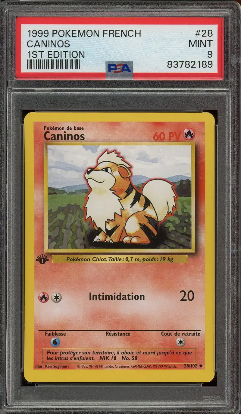 PSA 9 Caninos