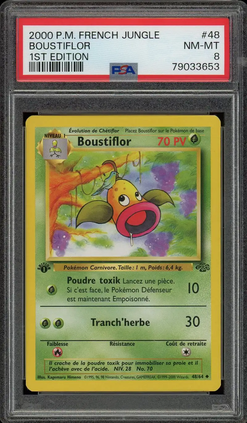 PSA 8 Boustiflor