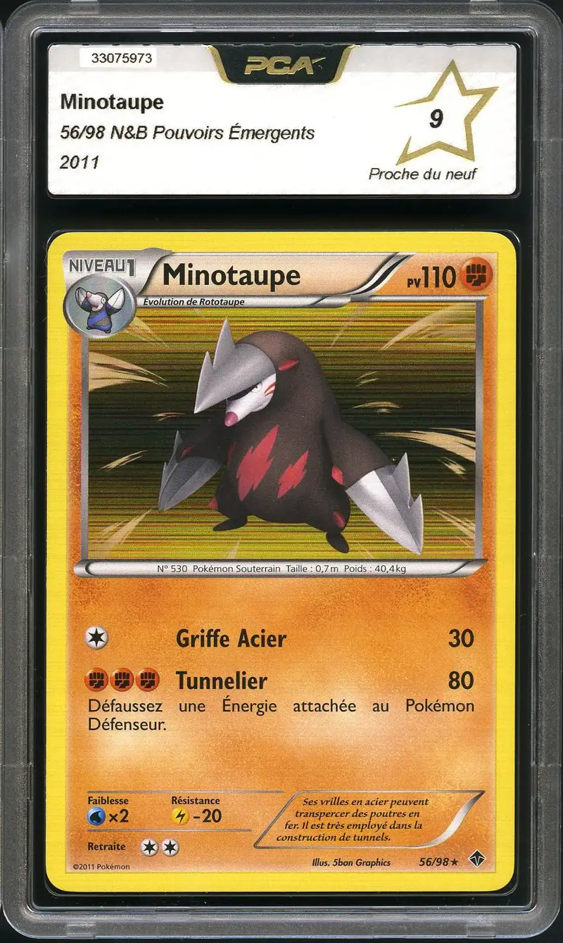 PCA 9 Minotaupe Holo
