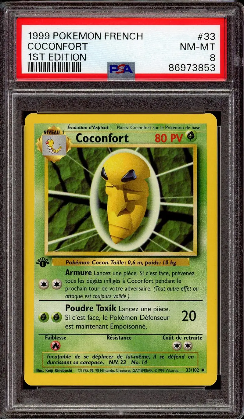 PSA 8 Coconfort
