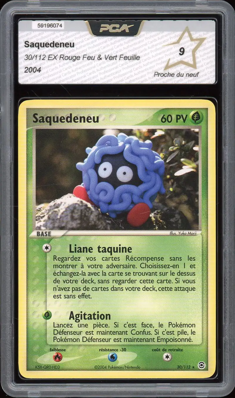 PCA 9 Saquedeneu