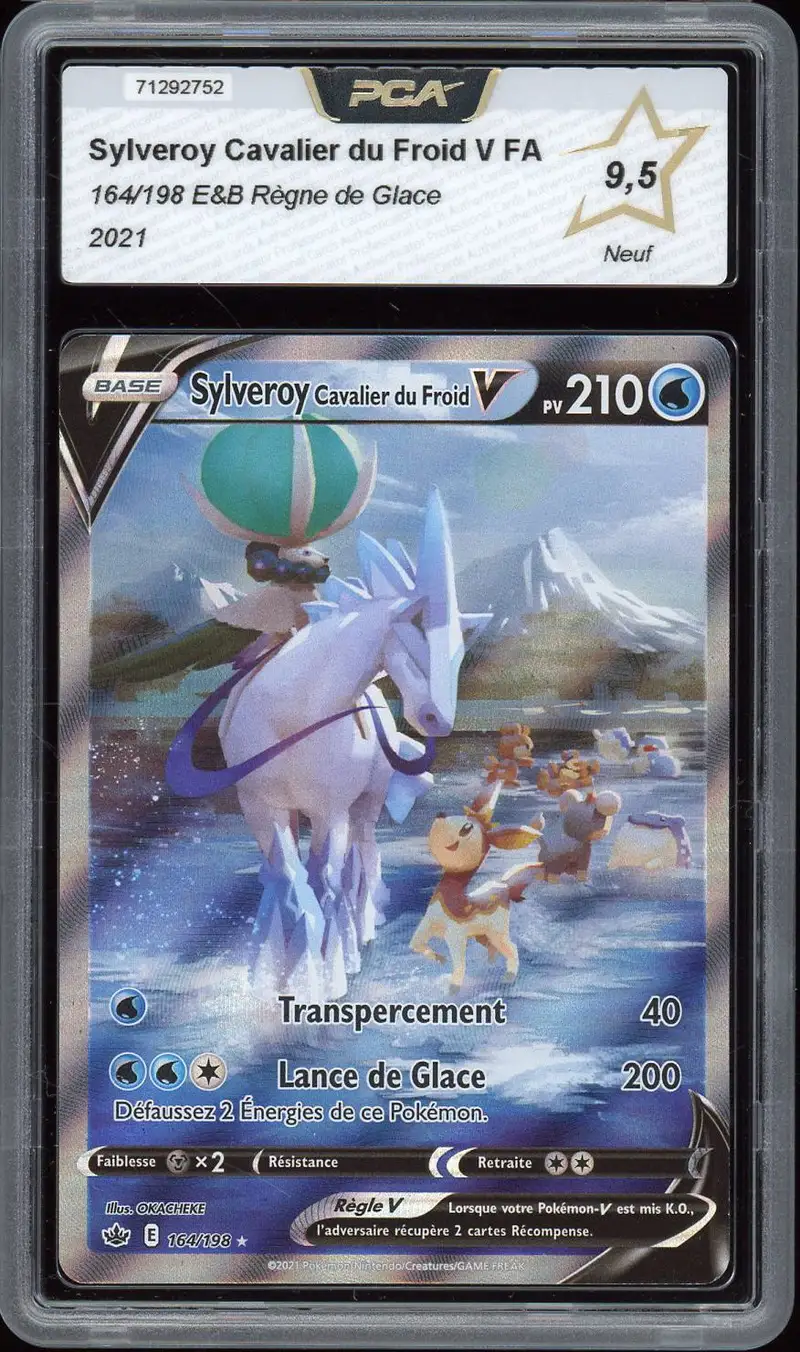 PCA 9.5 Sylveroy Cavalier du Froid V