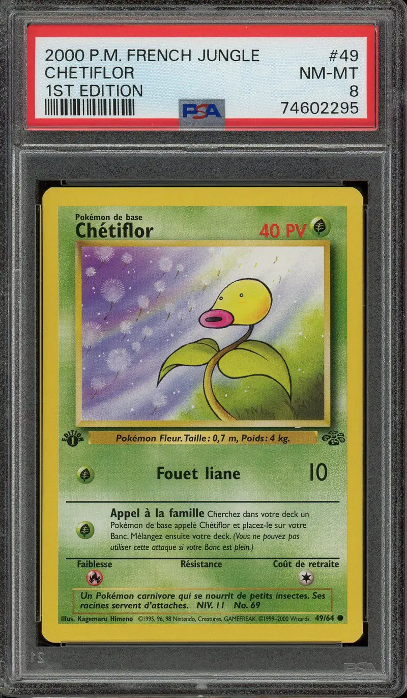 PSA 8 Chétiflor