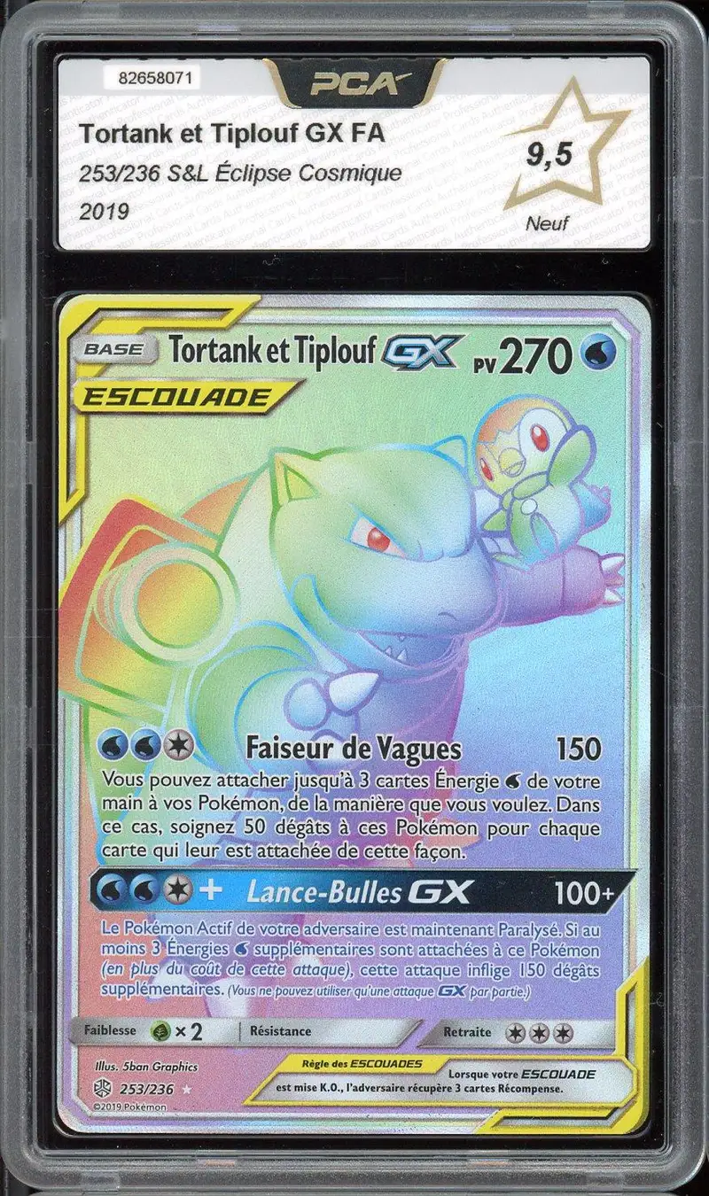PCA 9.5 Tortank et Tiplouf Gx Rainbow