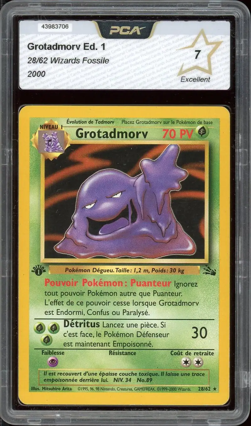 PCA 7 Grotadmorv