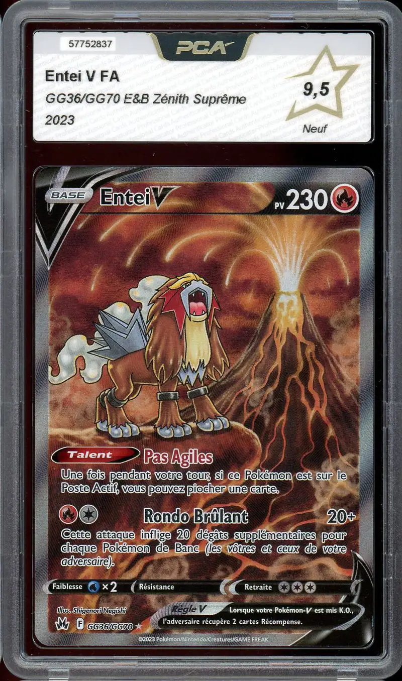 PCA 9.5 Entei V