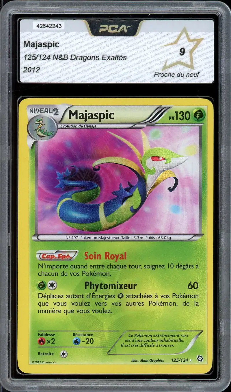 PCA 9 Majaspic Holo