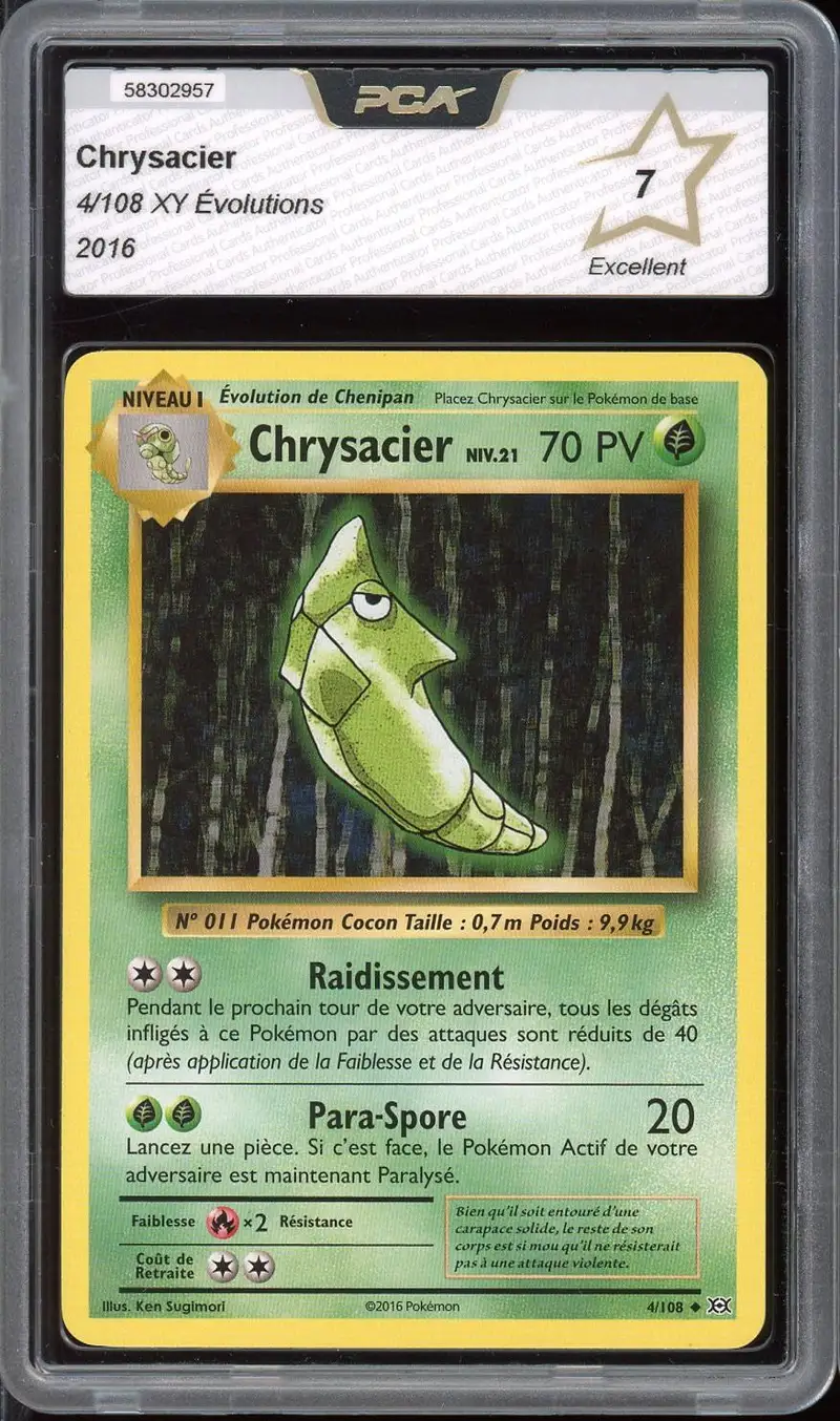 PCA 7 Chrysacier