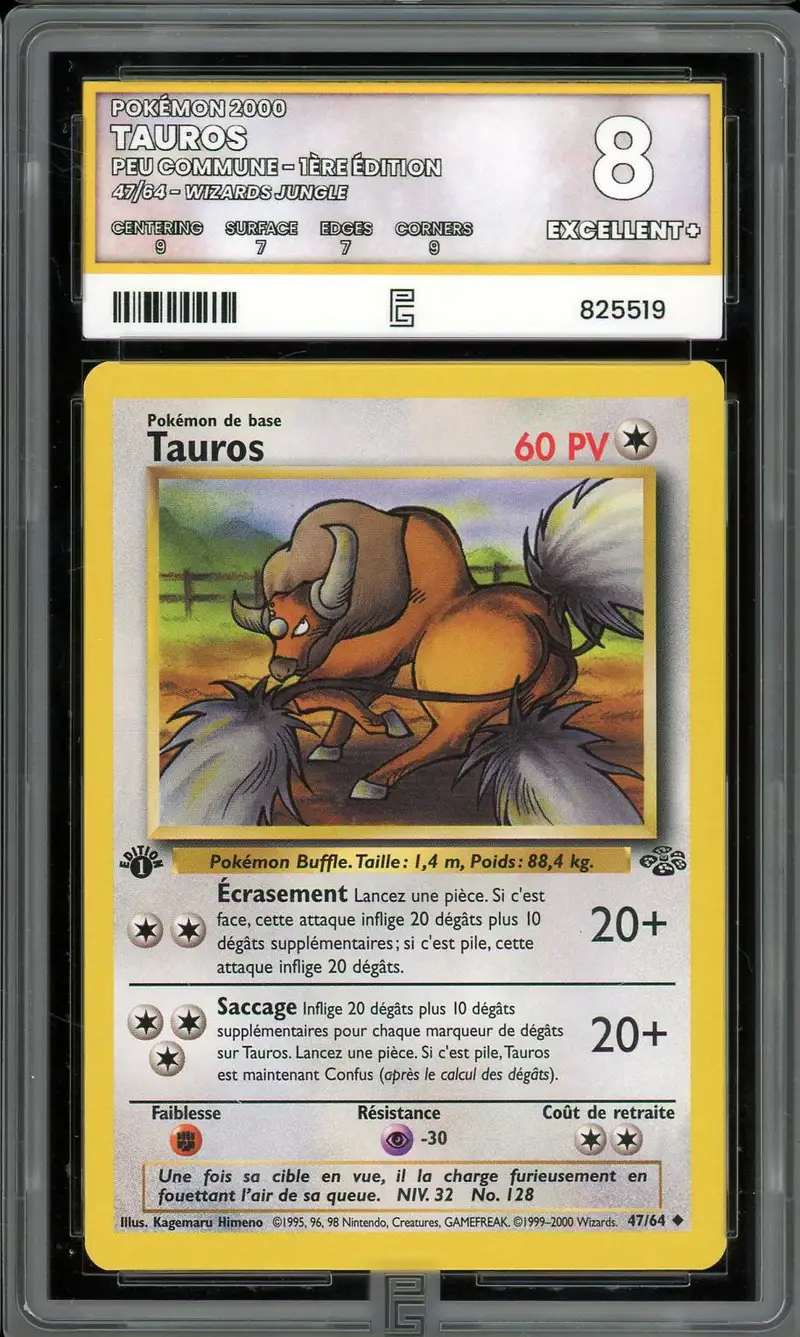 PG 8 Tauros