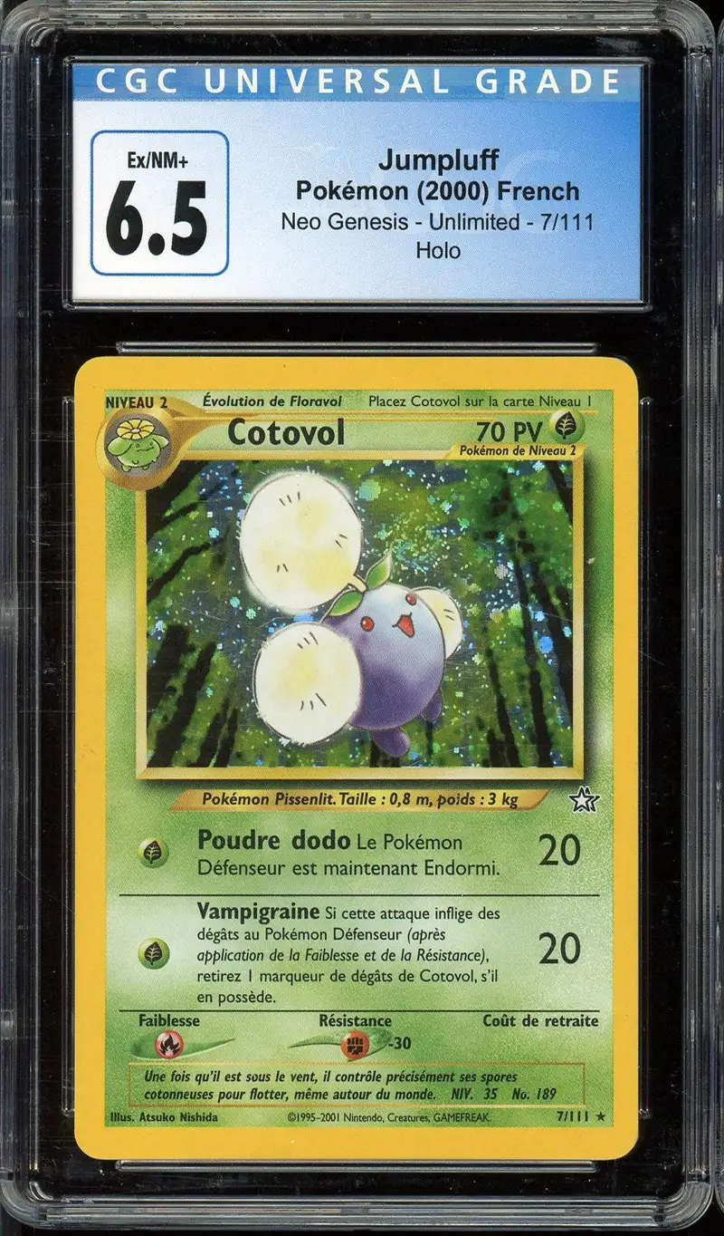 CGC 6.5 Cotovol Holo