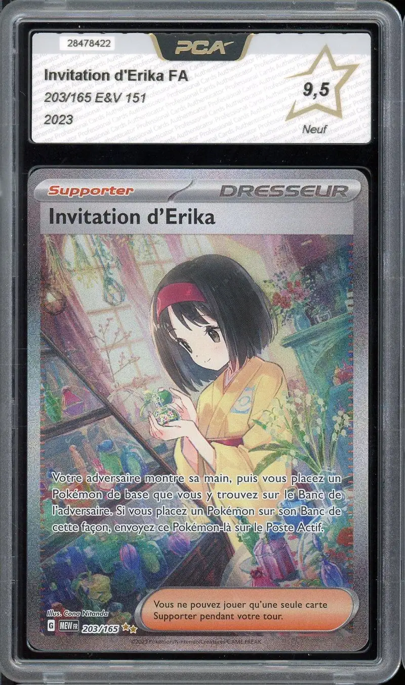 PCA 9.5 Invitation d'Erika