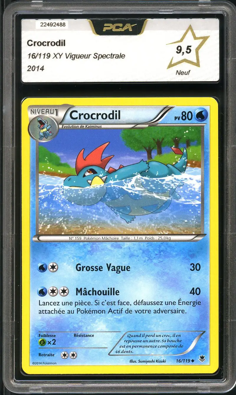 PCA 9.5 Crocrodil