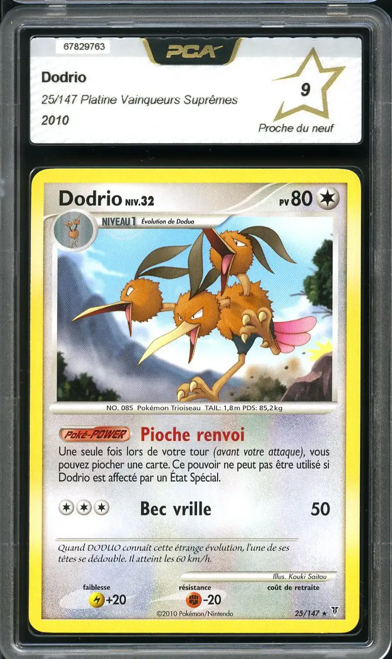 PCA 9 Dodrio