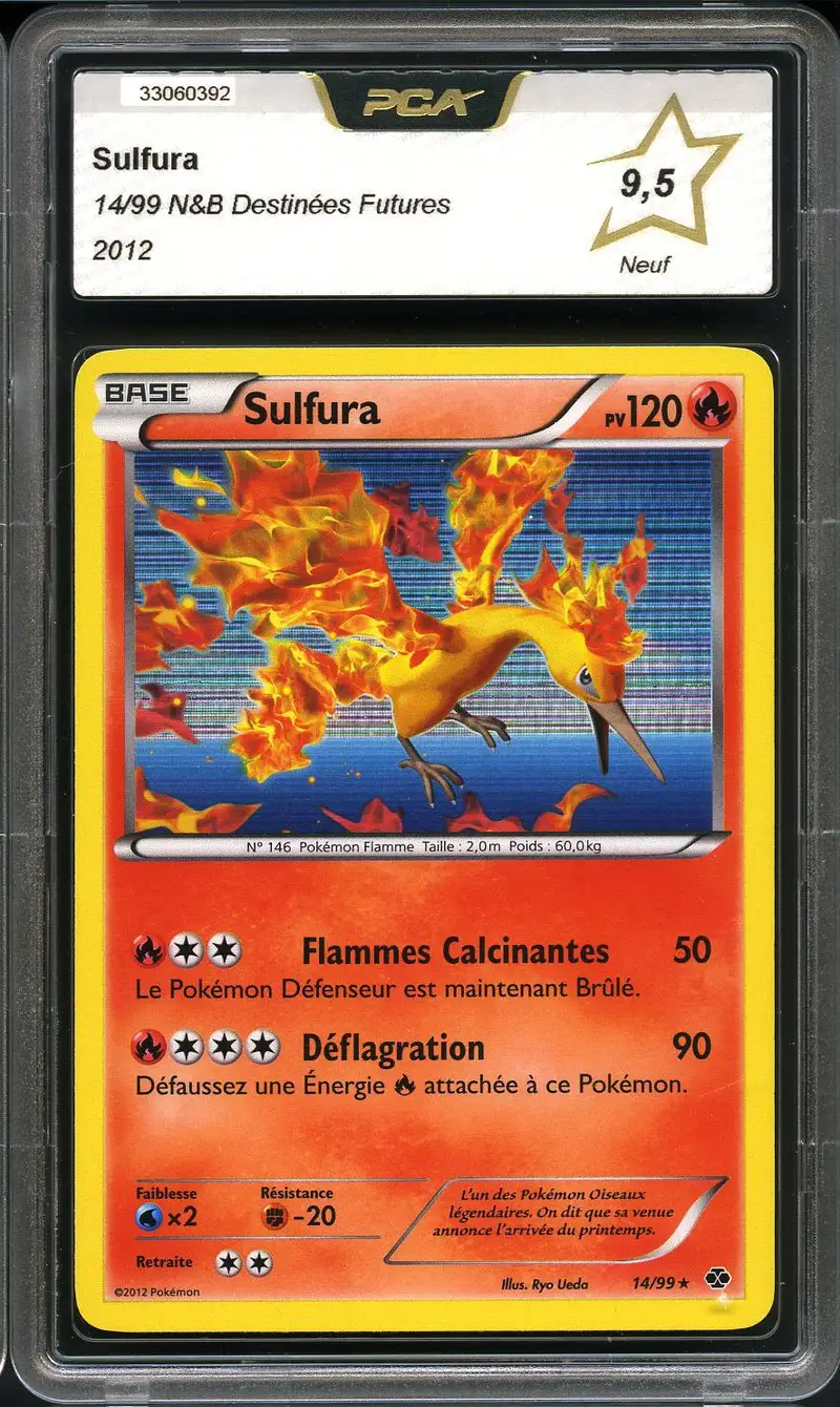 PCA 9.5 Sulfura Holo