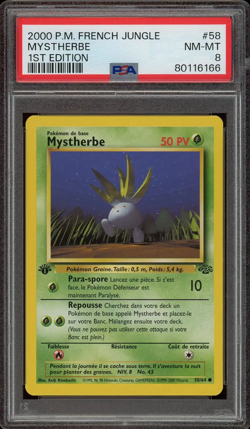 PSA 8 Mystherbe