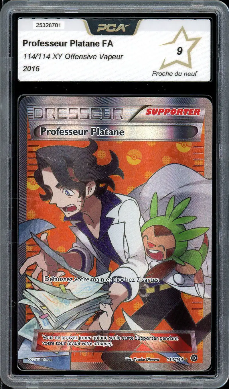 PCA 9 Professeur Platane