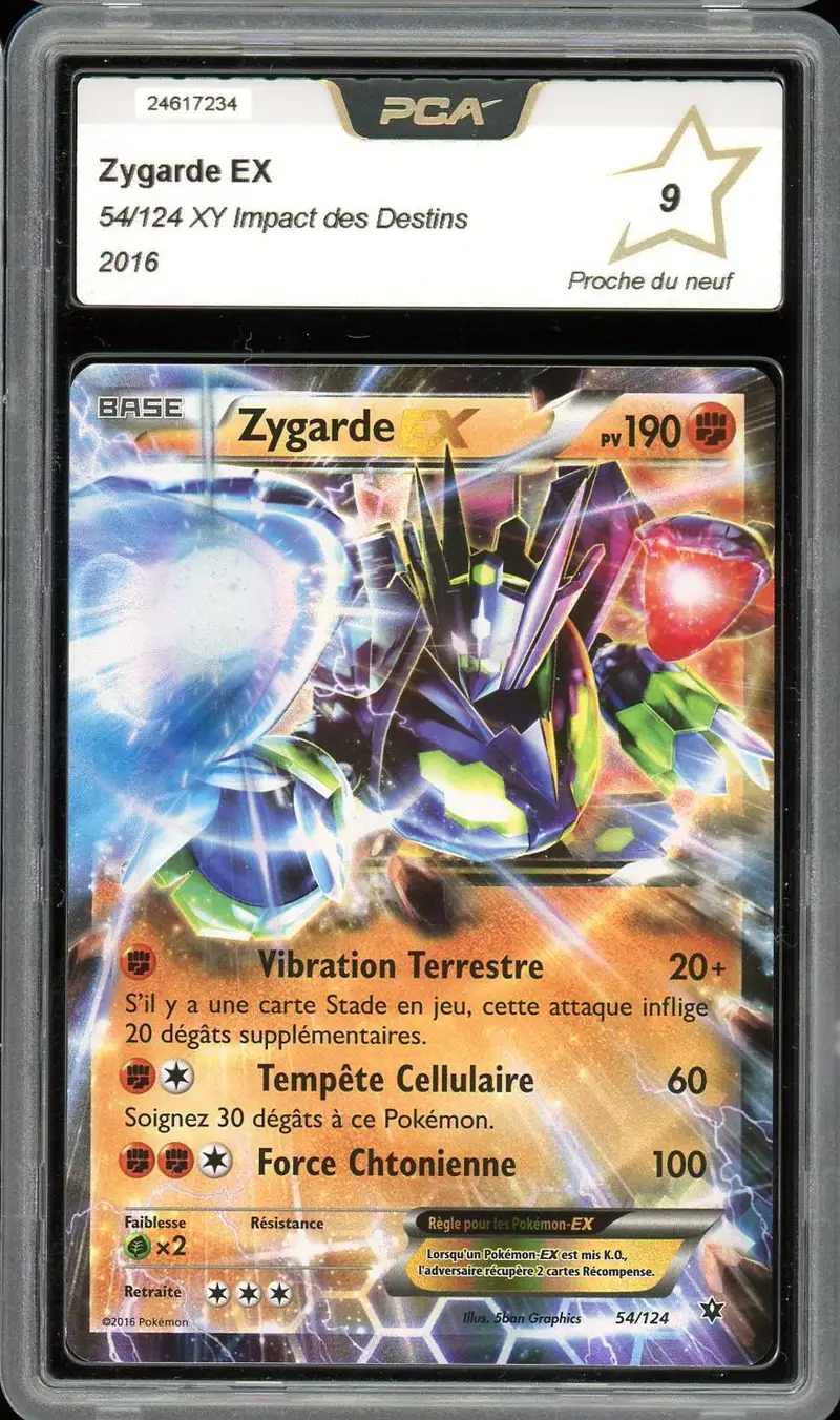 PCA 9 Zygarde Ex