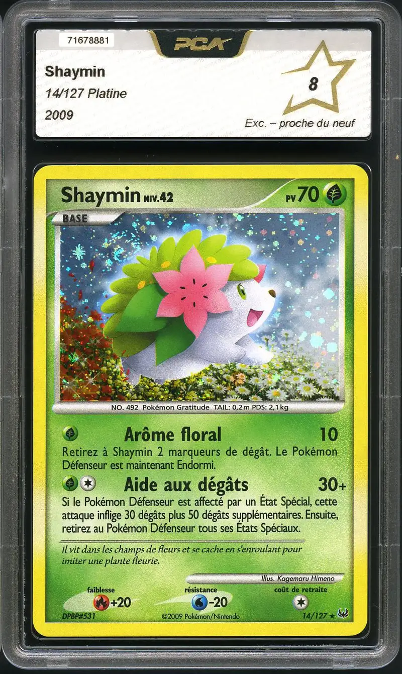 PCA 8 Shaymin Holo