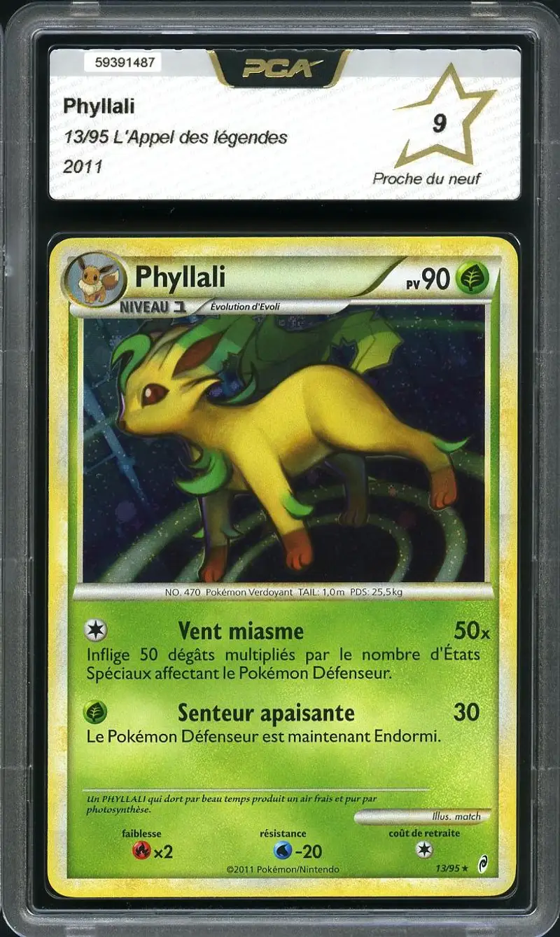 PCA 9 Phyllali Holo