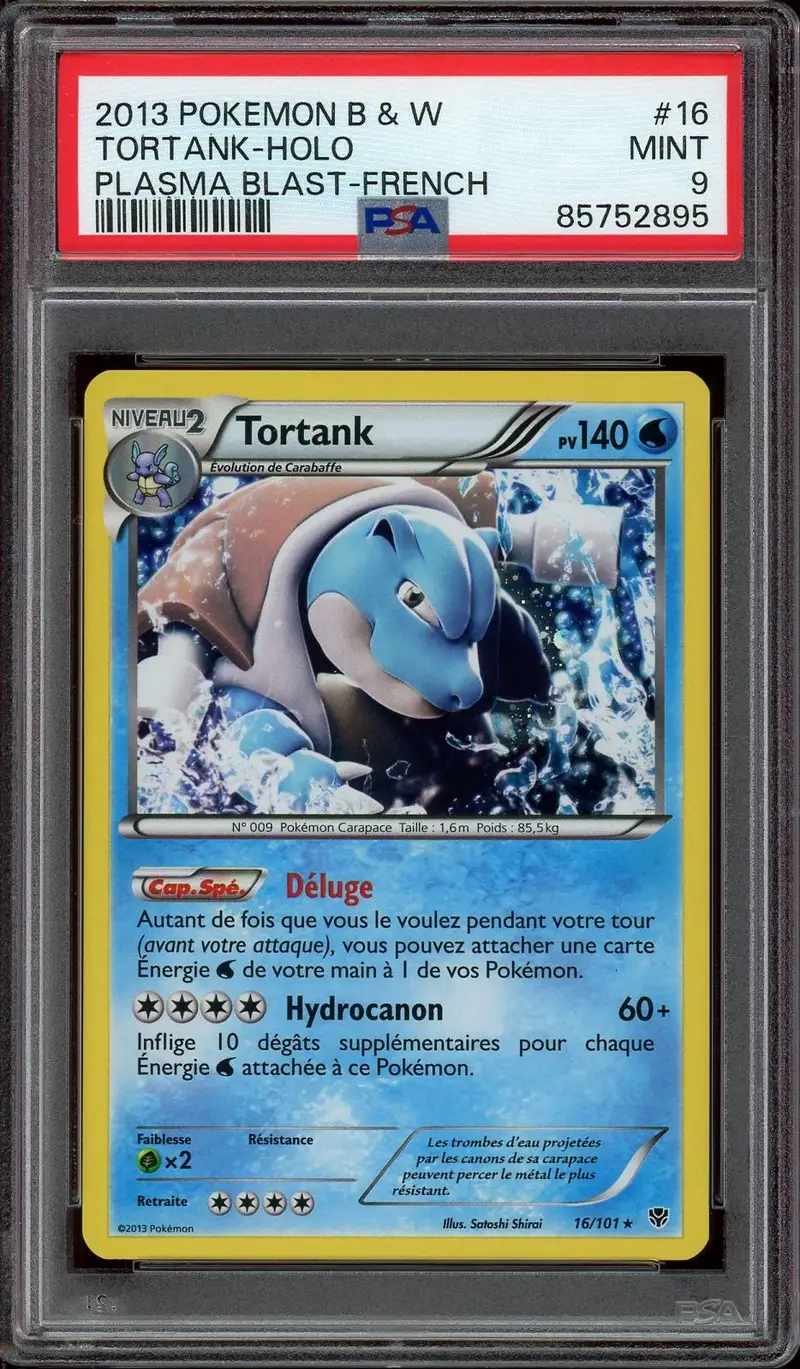 PSA 9 Tortank Holo
