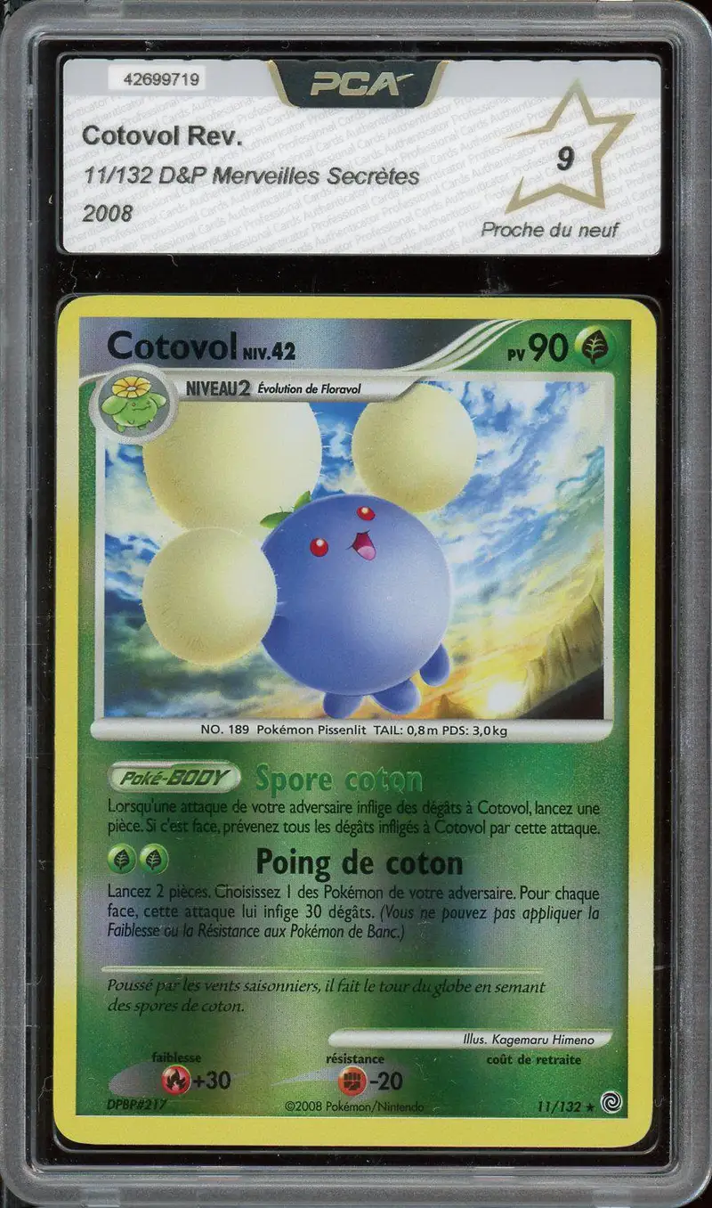PCA 9 Cotovol Reverse