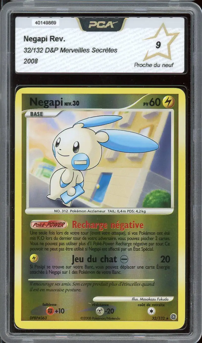 PCA 9 Négapi Reverse