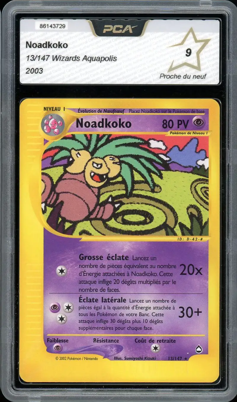 PCA 9 Noadkoko