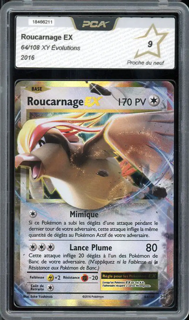 PCA 9 Roucarnage Ex