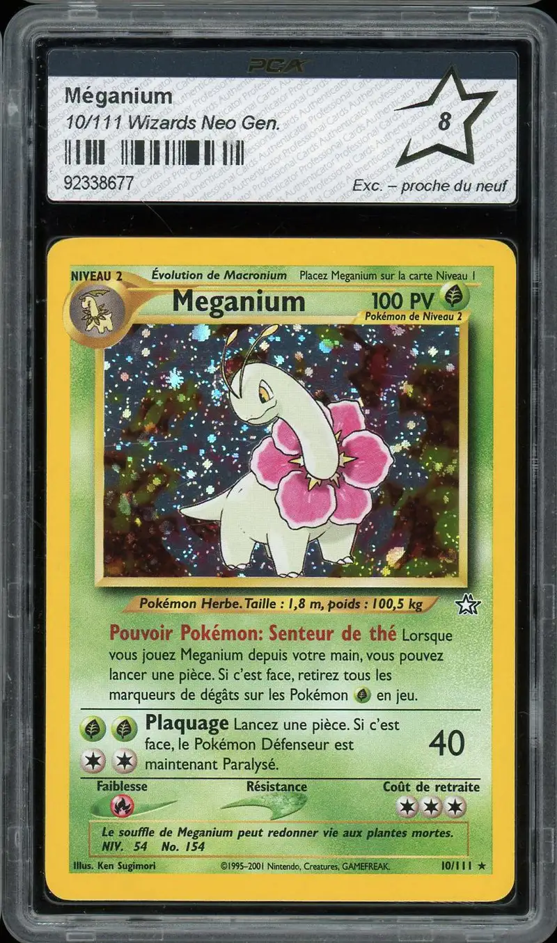 PCA 8 Méganium Holo