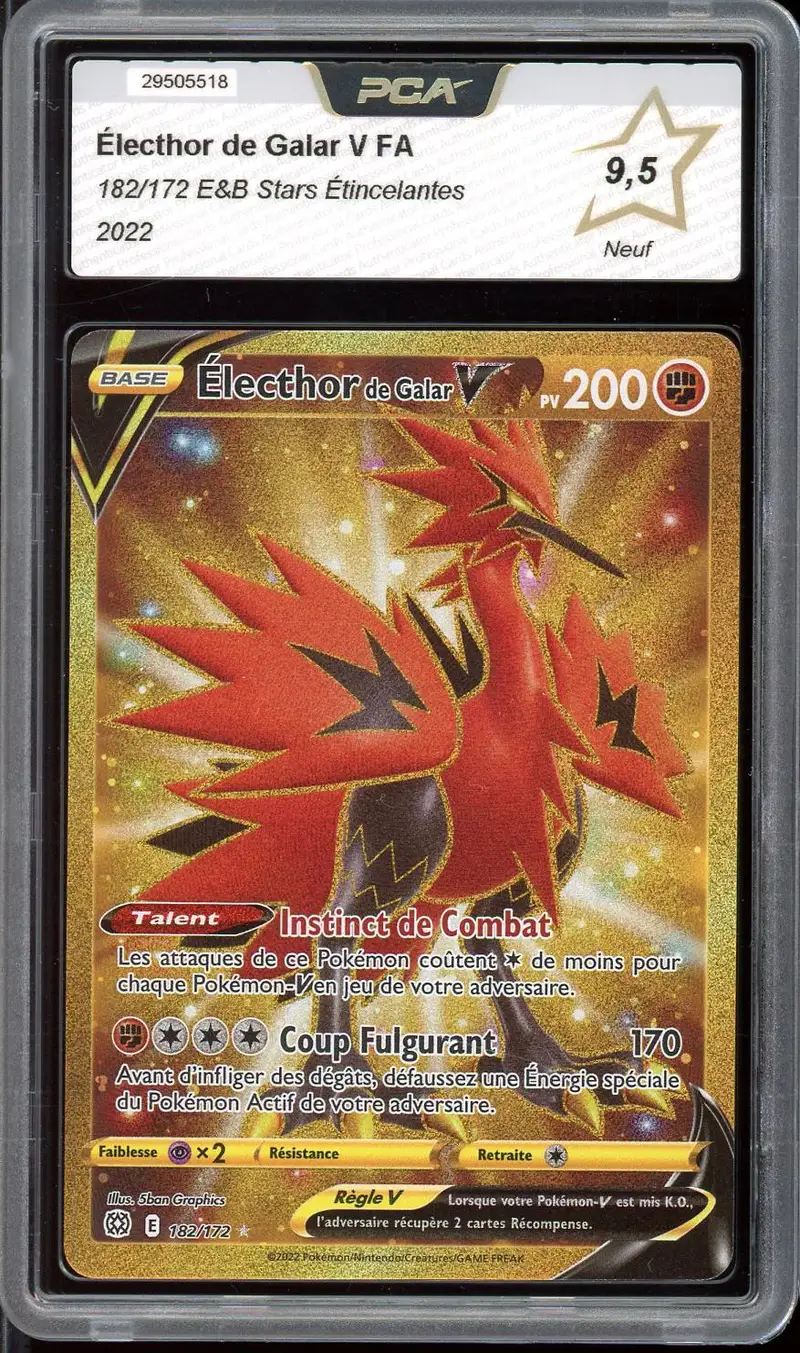 PCA 9.5 Electhor de Galar V Gold
