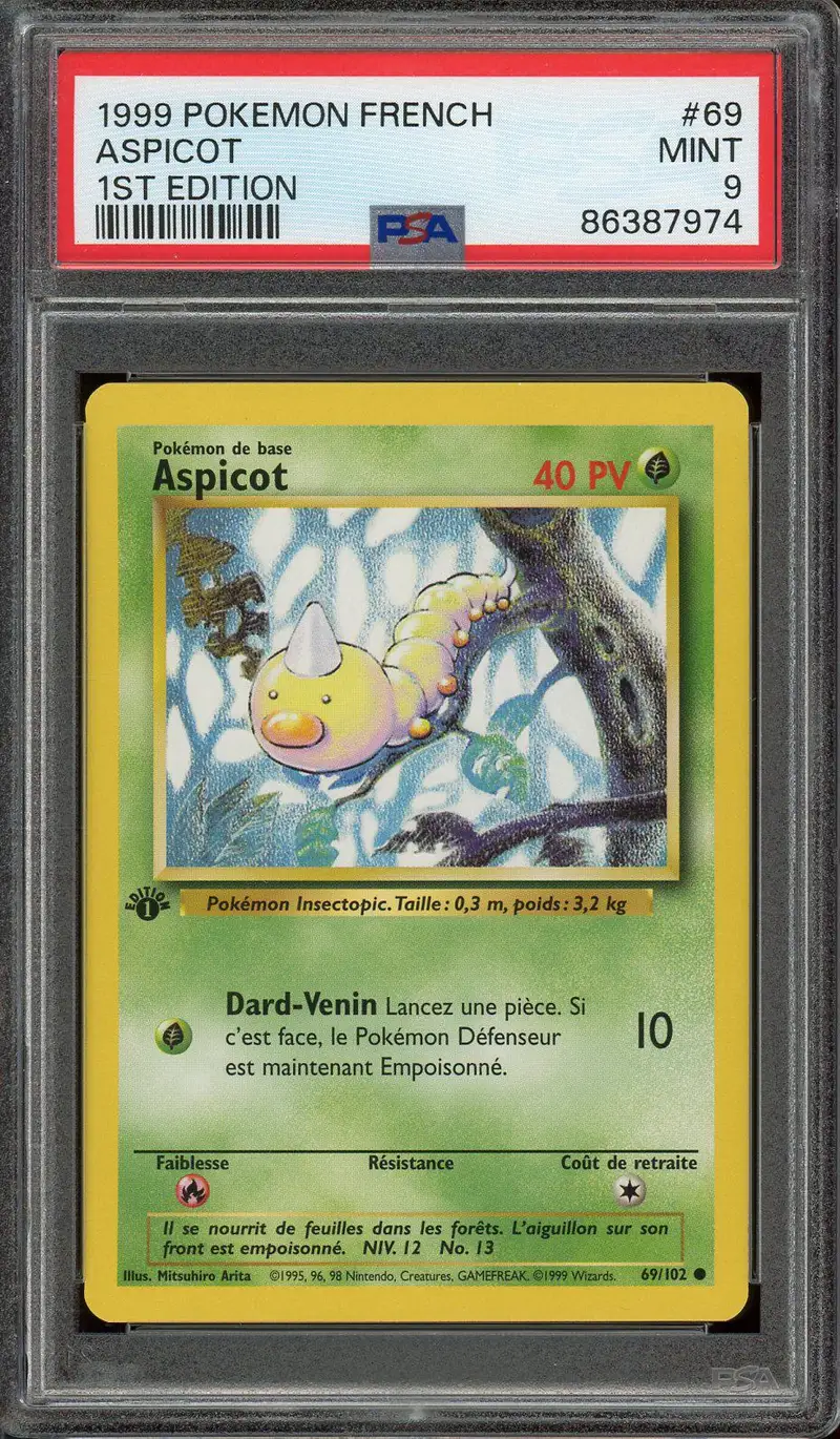 PSA 9 Aspicot