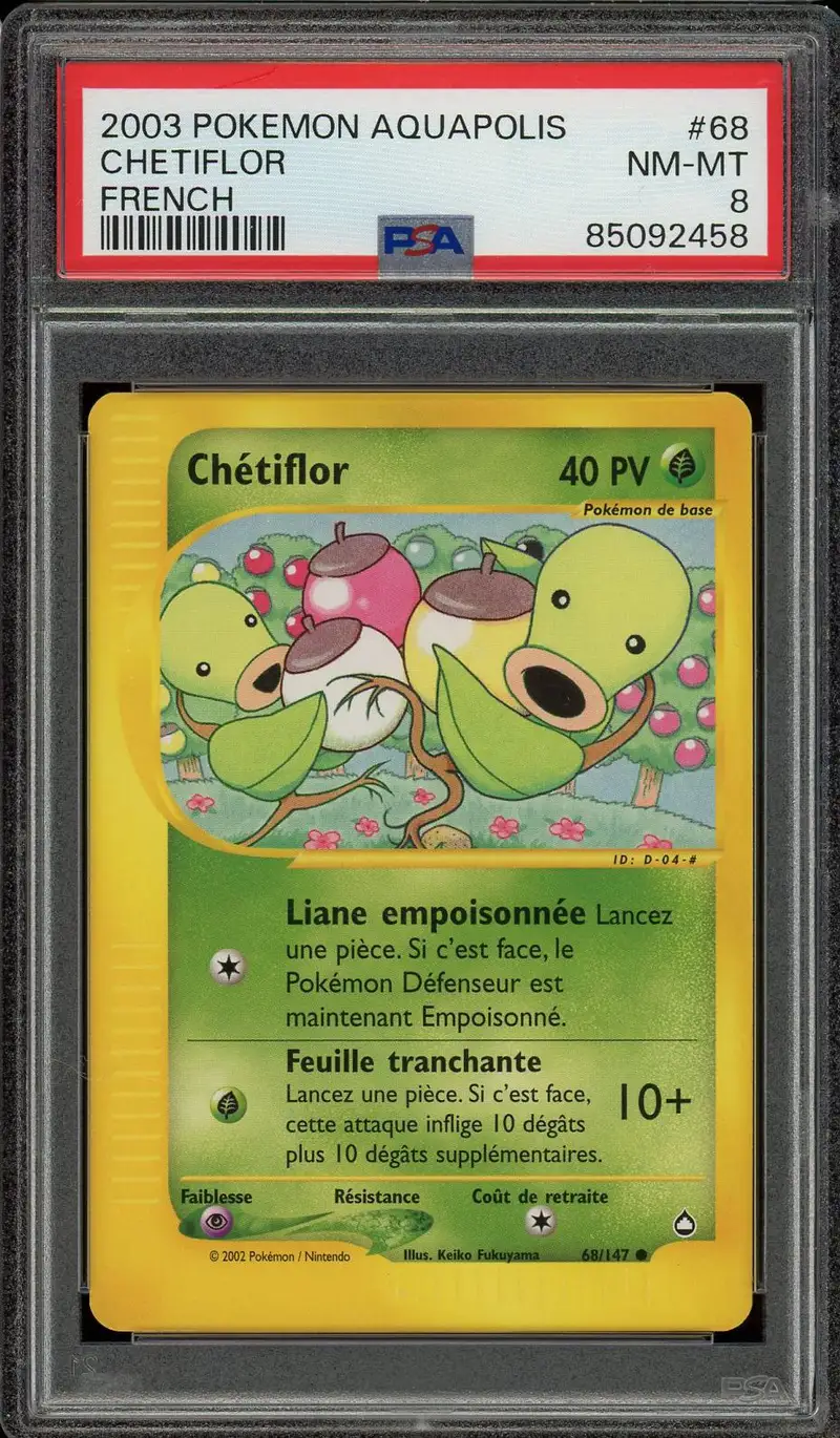 PSA 8 Chétiflor
