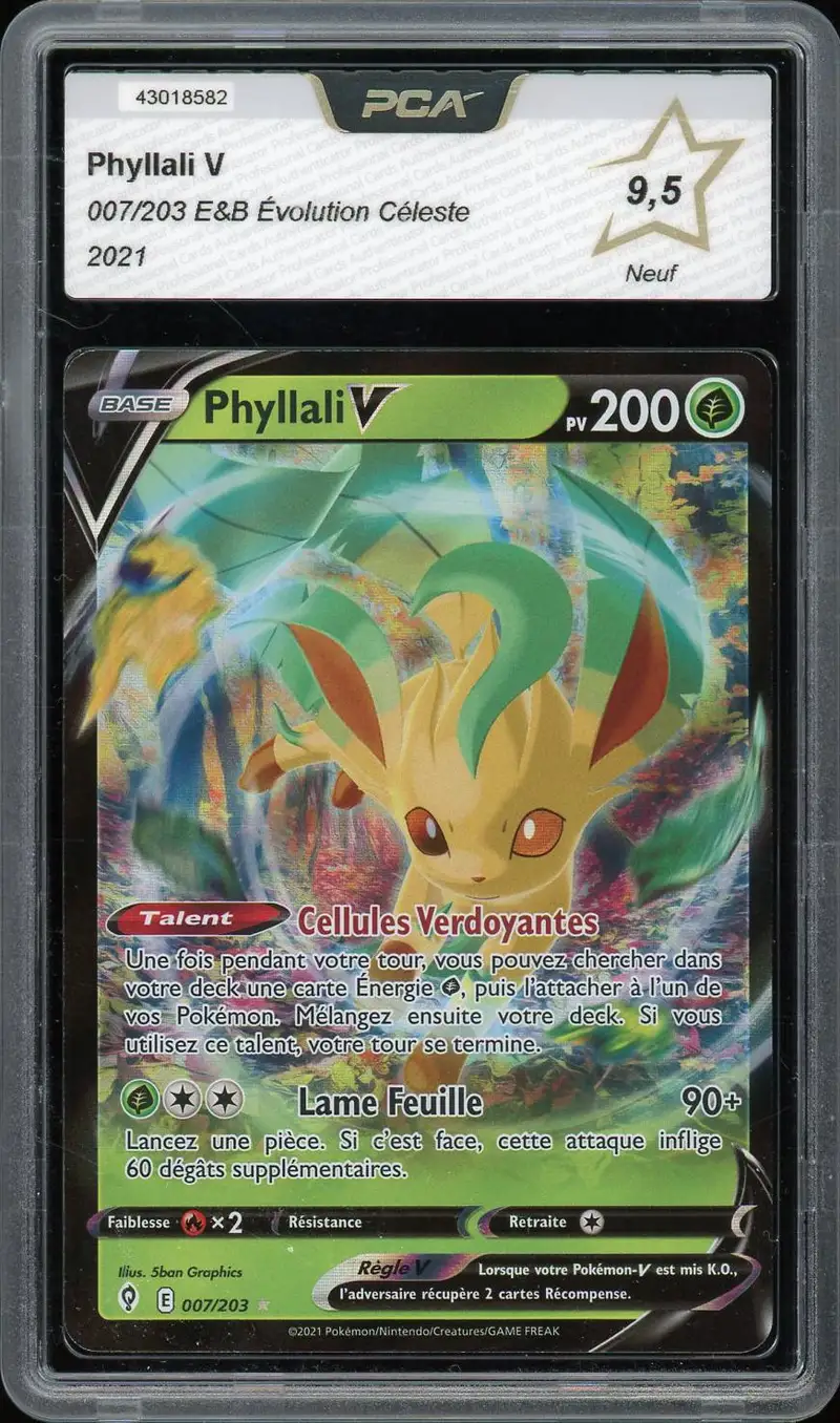 PCA 9.5 Phyllali V