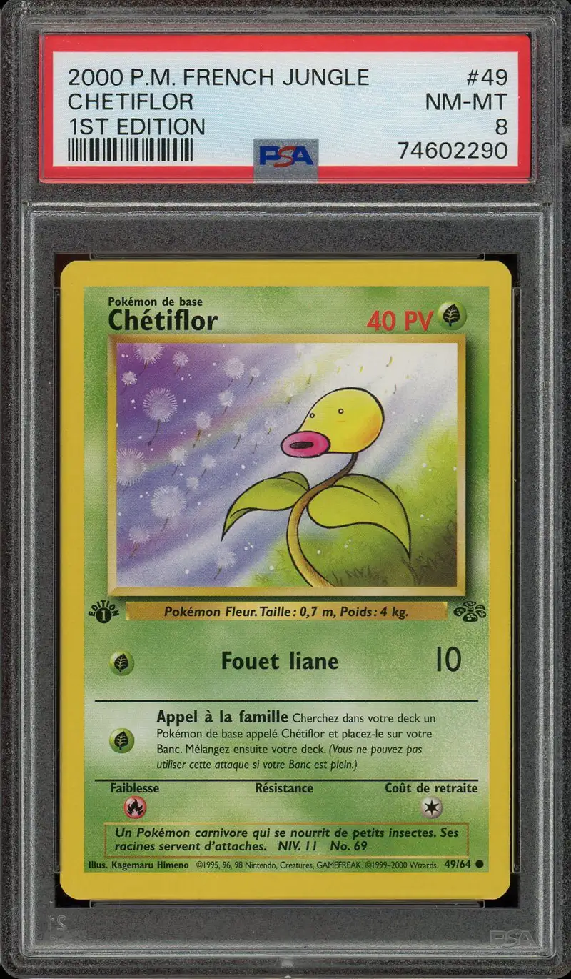 PSA 8 Chétiflor