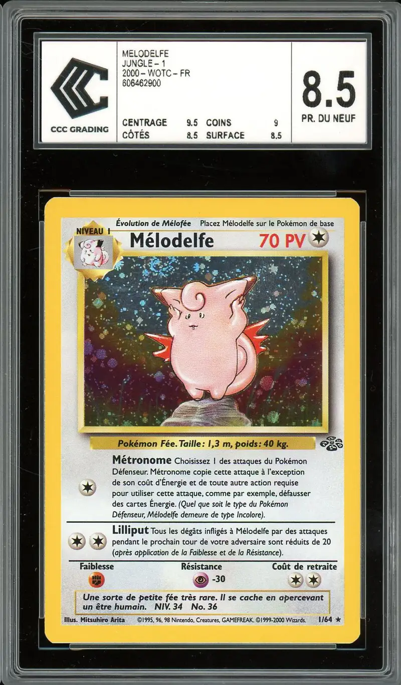 CCC 8.5 Mélodelfe Holo