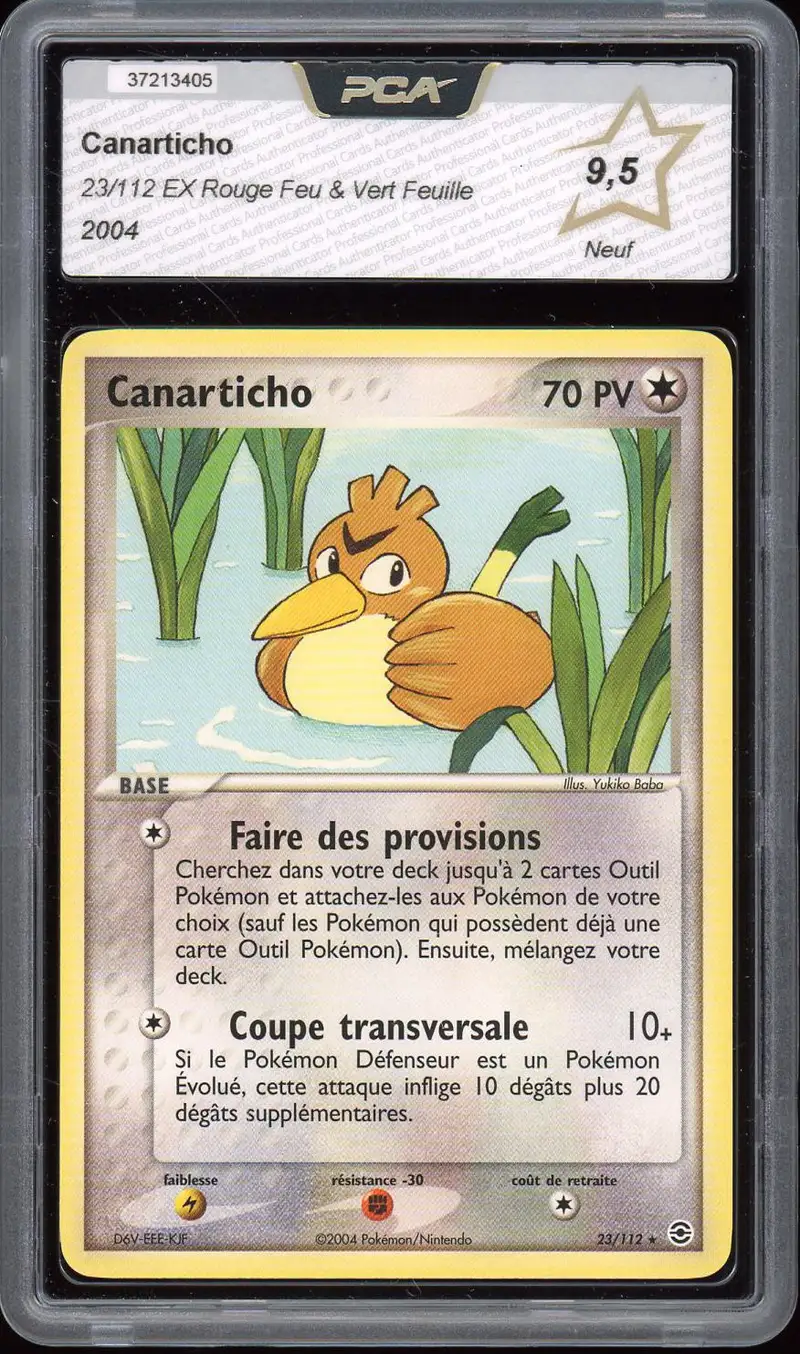 PCA 9.5 Canarticho