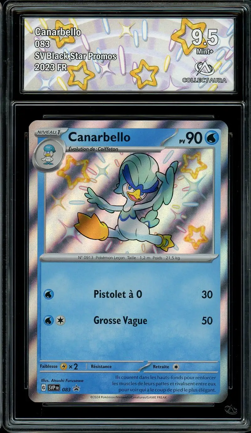 CA 9,5 Canarbello