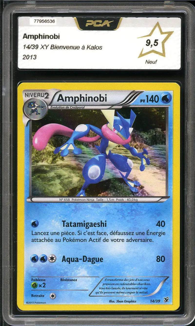 PCA 9.5 Amphinobi Holo