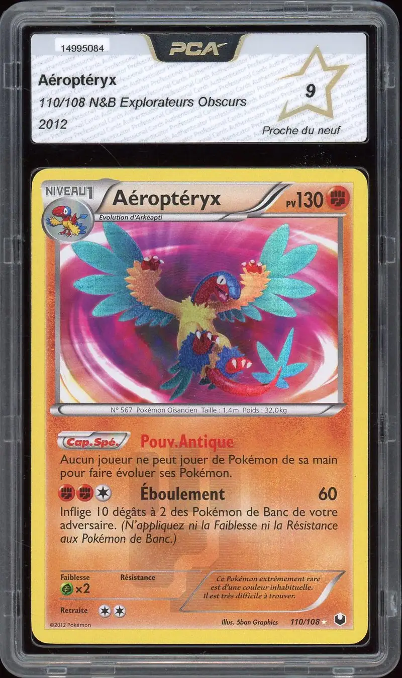 PCA 9 Aéroptéryx Shiny