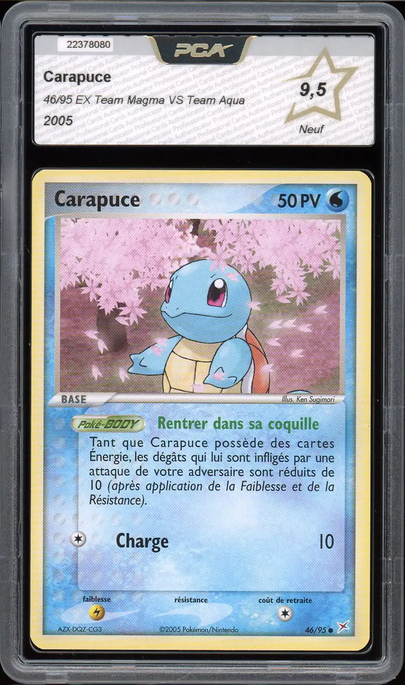 PCA 9.5 Carapuce