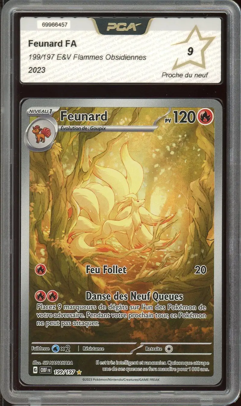 PCA 9 Feunard