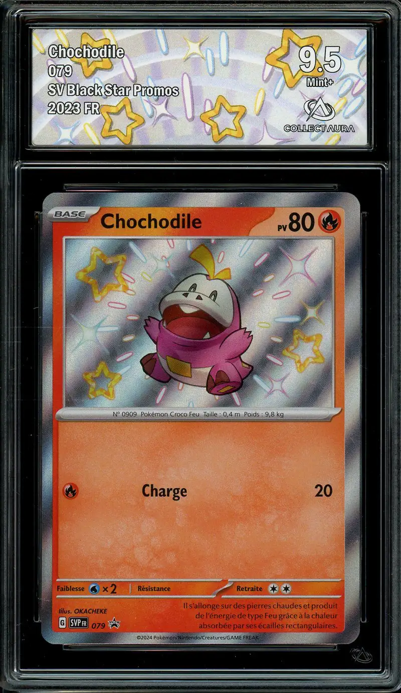 CA 9,5 Chochodile