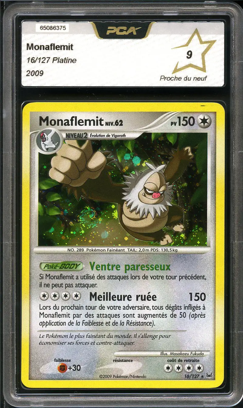 PCA 9 Monaflemit Holo