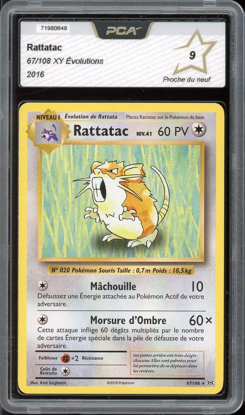 PCA 9 Rattatac