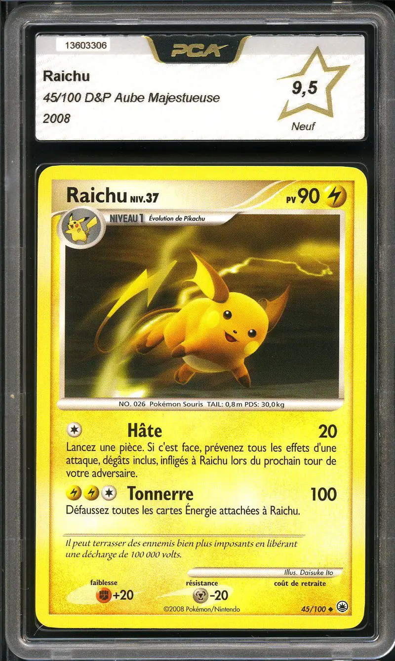 PCA 9.5 Raichu