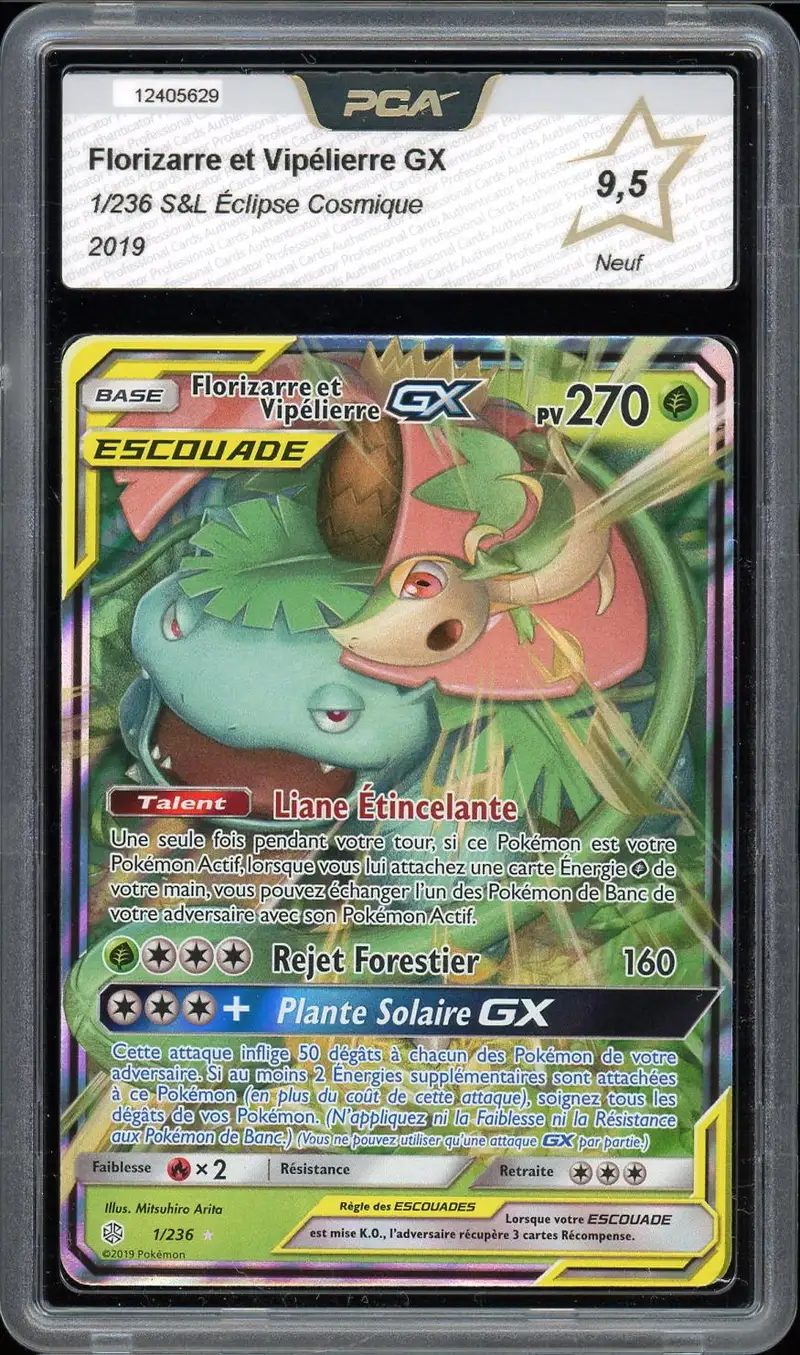 PCA 9.5 Florizarre et Vipélierre Gx