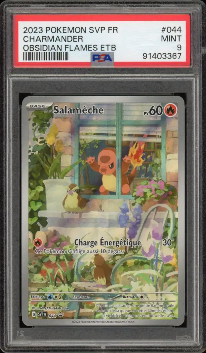 PSA 9 Salamèche