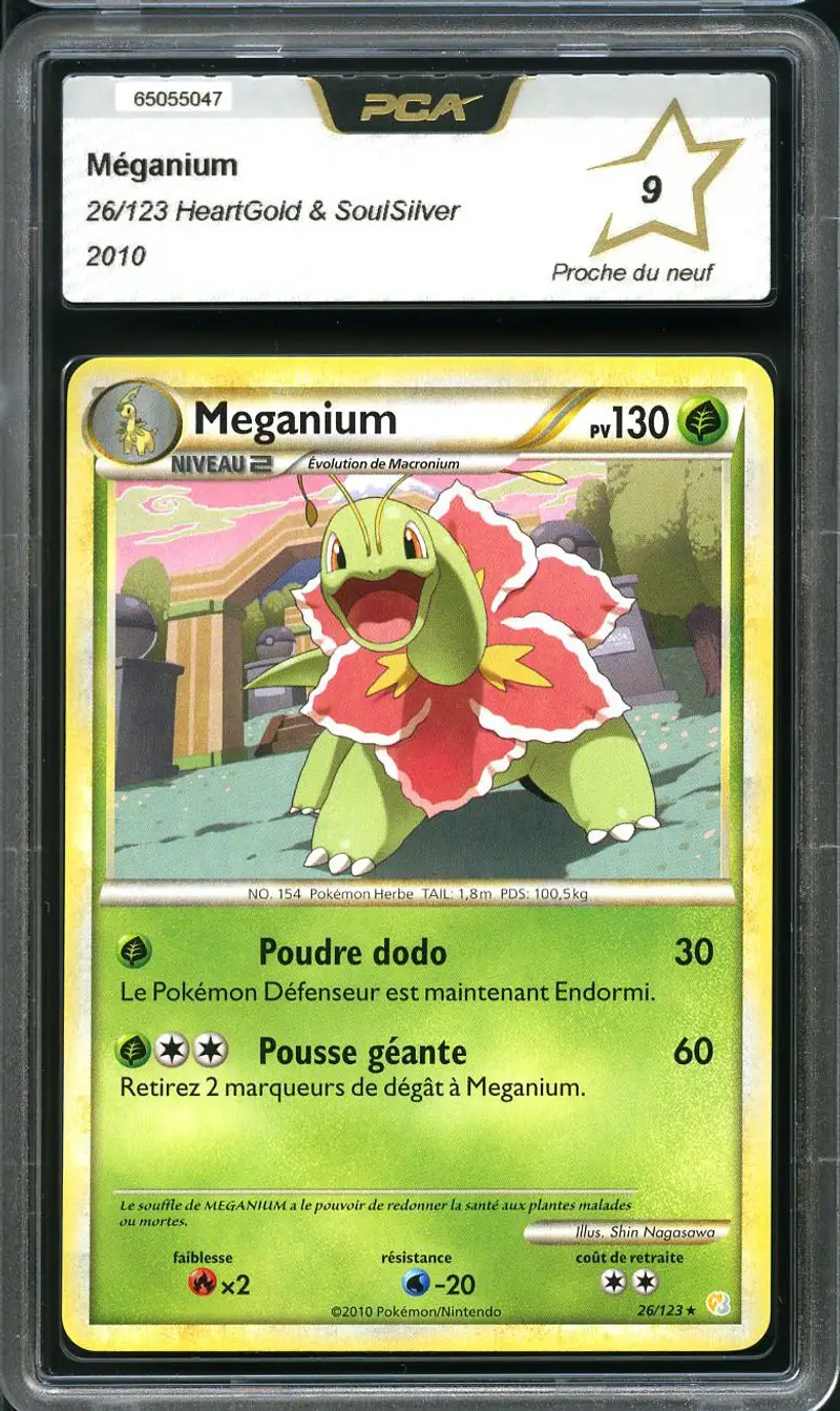 PCA 9 Meganium