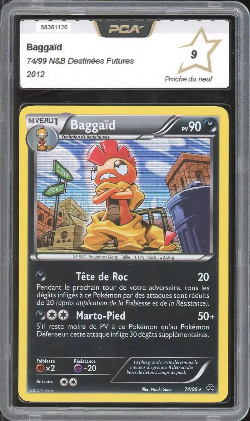 PCA 9 Baggaïd Holo